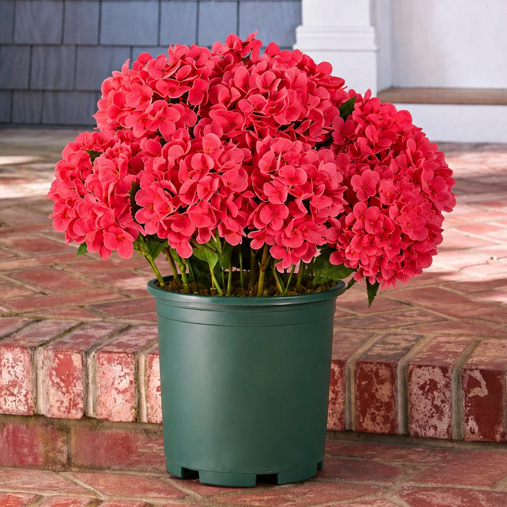 💥Last Day 75% OFF💐Artificial Outdoor Hydrangea Flowers - UV resistant, Waterproof, Windproof