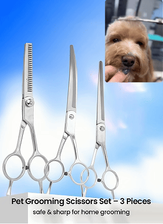 🔥 🔥 🔥 No More Groomer Bills — ✂️The Pet Scissors That Do It Allxiao'tu'biao
