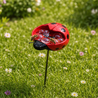 Ladybug style