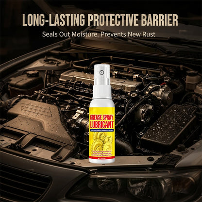 Anti-Rust Lubricant Spray & Rust Remover