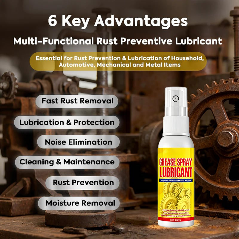 Anti-Rust Lubricant Spray & Rust Remover