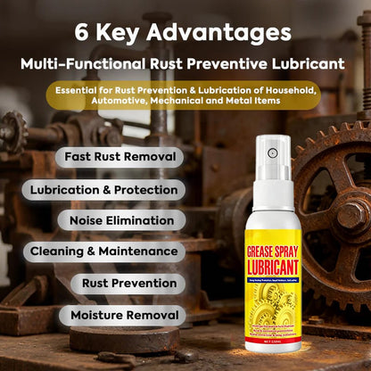 Anti-Rust Lubricant Spray & Rust Remover