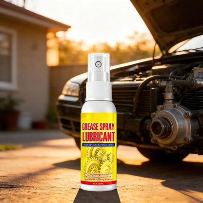 Anti-Rust Lubricant Spray & Rust Remover