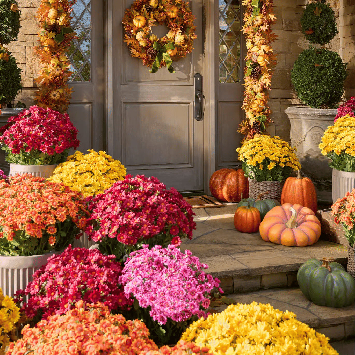 💥Last Day 70% OFF🌼- Artificial Outdoor Sunset Mums Flowers - UV resistant, Waterproof, Windproof