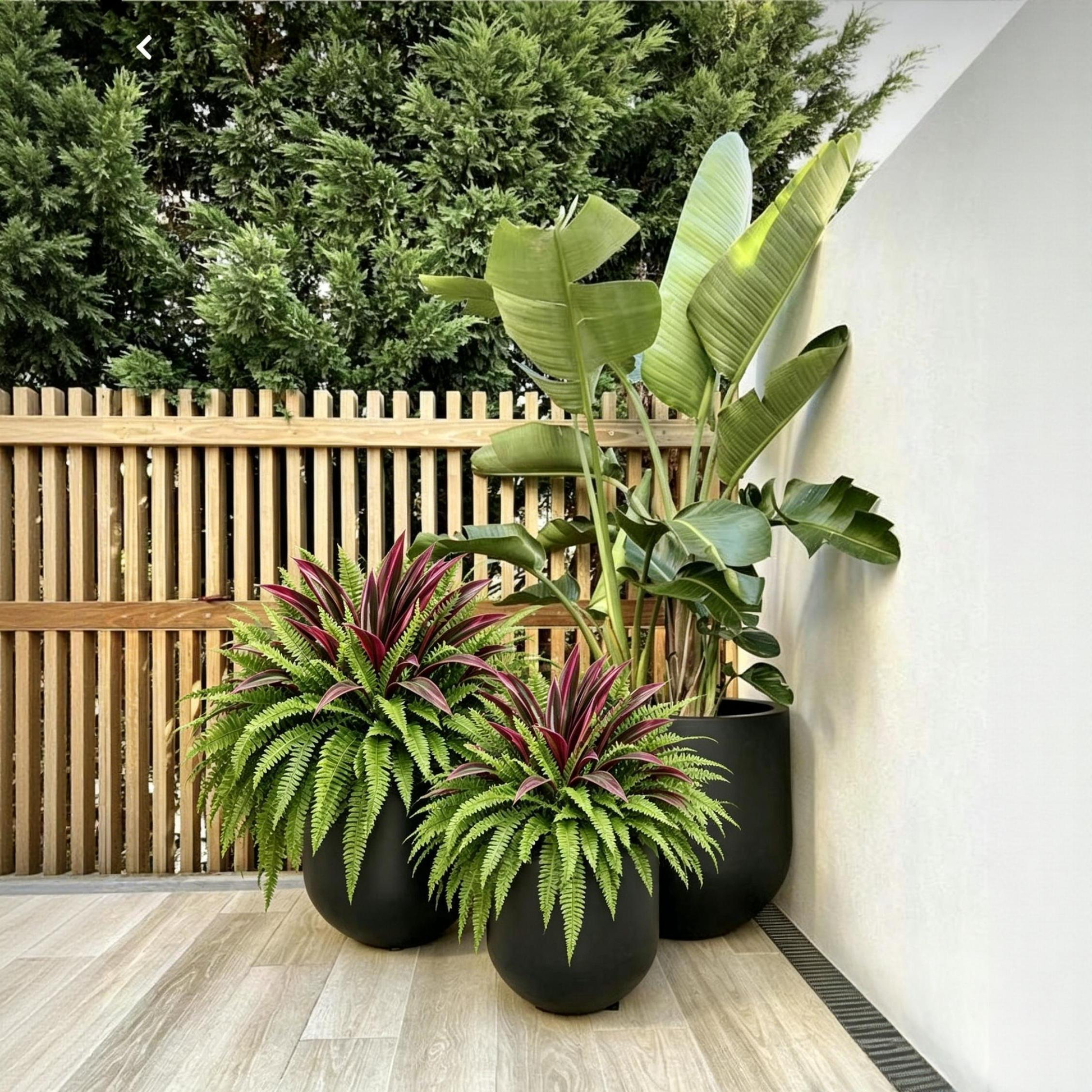 💥Summer Special🔥UV-Resistant Artificial Fern & Red Dracaena Decorative Plants – Full, Lush & Fade-Resistant!