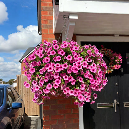 ⏰Limited Time Offer⏰🔥UV Resistant Artificial Petunias Flowers