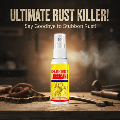 Anti-Rust Lubricant Spray & Rust Remover