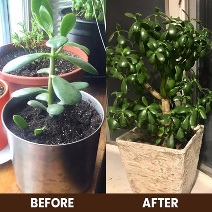 🏆 75K+ SOLD | 🌱 Soil Pro Activator | 🔥Buy 3 Get 1 Free | Boost Plant Growth Fast