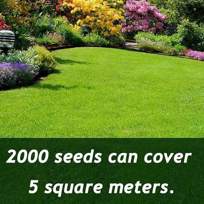 🌱🌱🌱 2026 Four Seasons Evergreen Grass Seed | Durable, Vibrant Green All Year
