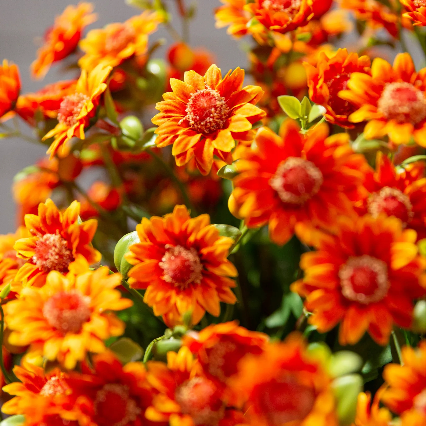 💥Last Day 70% OFF🌼- Artificial Outdoor Sunset Mums Flowers - UV resistant, Waterproof, Windproof