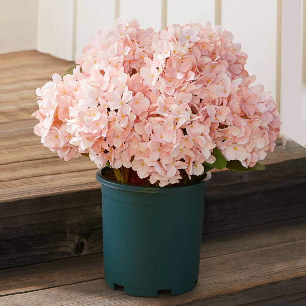 💥Last Day 75% OFF💐Artificial Outdoor Hydrangea Flowers - UV resistant, Waterproof, Windproof