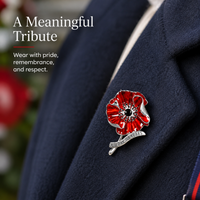 VeDay80Years-Silver