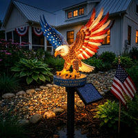 250 YEARS OF FREEDOM SOARING EAGLE