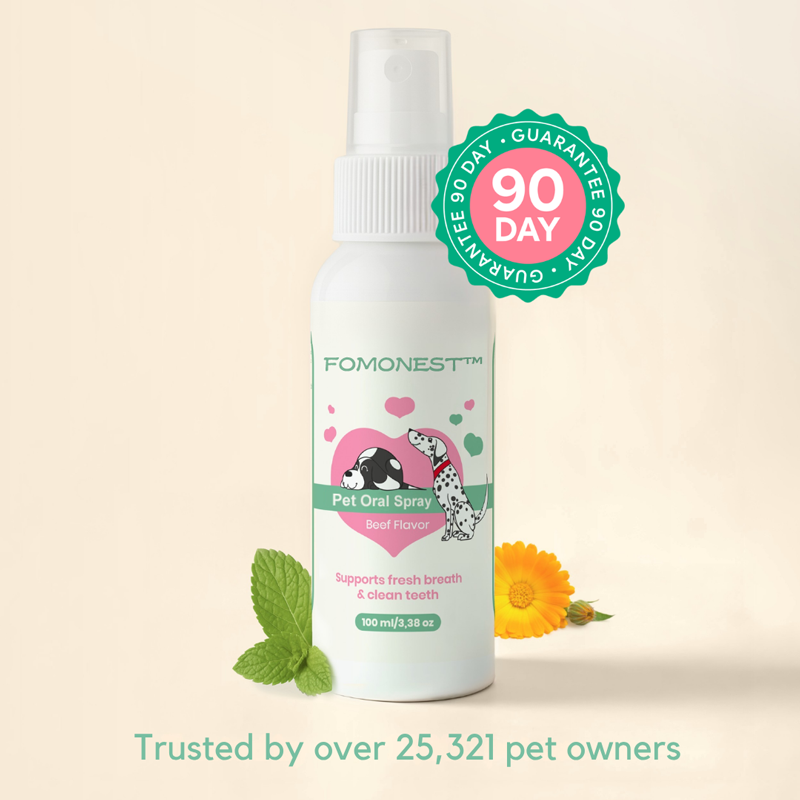 FOMONEST™ Dental Spray – Stop Bad Breath & Tartar at the Source
