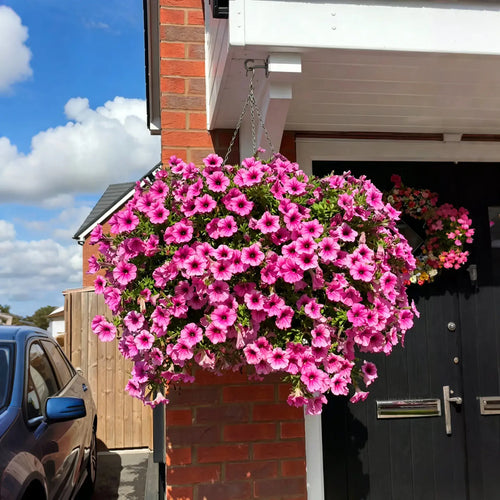 🔥 70% OFF Ends Today! 🌸 UV-Resistant Artificial Petunia Flowers