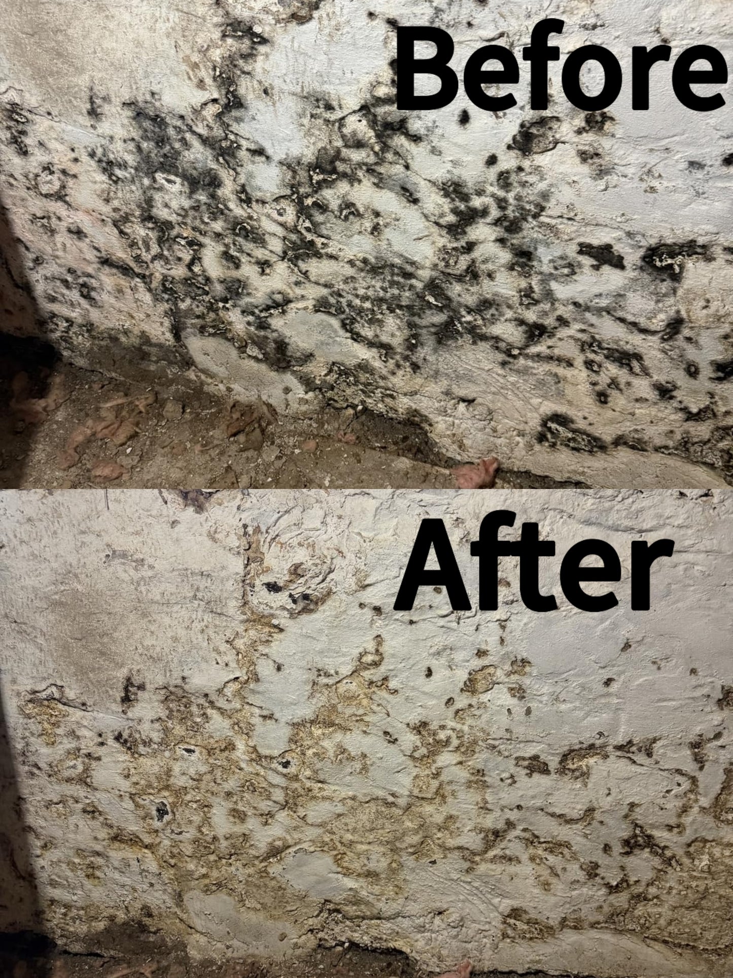🔥  Buy 2 Get 1 Free🧼 Powerful Mold Remover Spray – Deep Clean & Prevent Regrowth