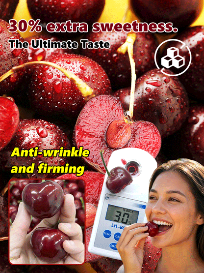 ⚠️Last day for an 85% discount!🍒 I planted this tree once… now I harvest up to 50 lbs every summer
