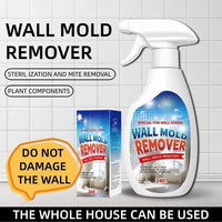 Add items to cart for future use🛒 Heavy summer rainfall brings damp air🌧️keep harmful mold away from your health💪