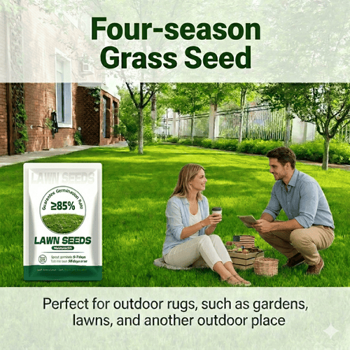 🌱🌱🌱 2026 Four Seasons Evergreen Grass Seed | Durable, Vibrant Green All Year