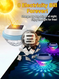 Buy 2 Free Shipping