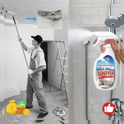 🔥  Buy 2 Get 1 Free🧼 Powerful Mold Remover Spray – Deep Clean & Prevent Regrowth