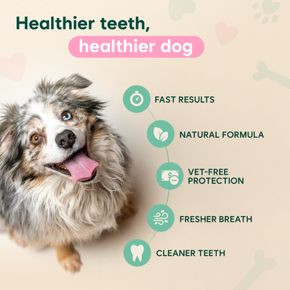 FOMONEST™ Dental Spray – Stop Bad Breath & Tartar at the Source