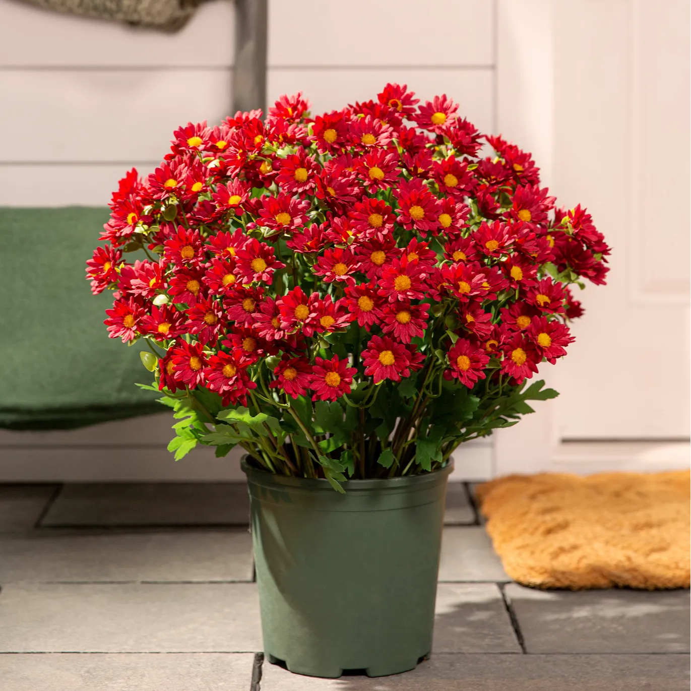 💥Last Day 70% OFF🌼- Artificial Outdoor Sunset Mums Flowers - UV resistant, Waterproof, Windproof