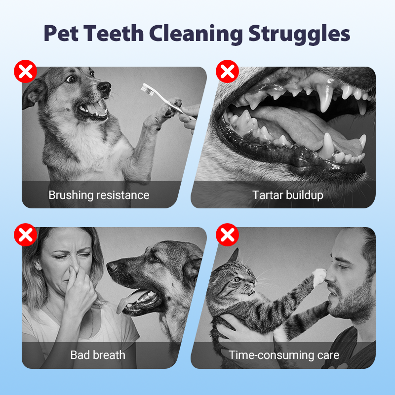 FOMONEST™ Dental Spray – Stop Bad Breath & Tartar at the Source