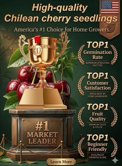 ⚠️Last day for an 85% discount!🍒 I planted this tree once… now I harvest up to 50 lbs every summer