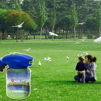 1 (ONLY SPRAY POT)