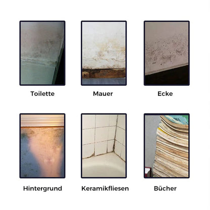 🧼 Multi-Purpose Anti-Mold Cleaning Foam | All Surface Mold Remover