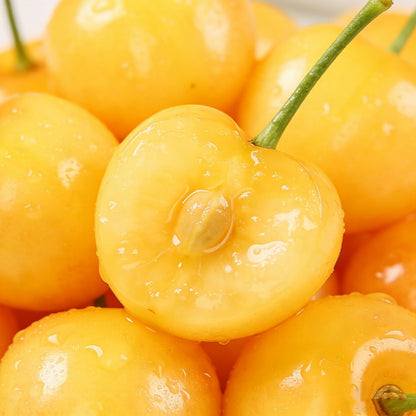 ⚠️Last day for an 85% discount!🍒 I planted this tree once… now I harvest up to 50 lbs every summer