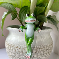 Back Hanging Frog