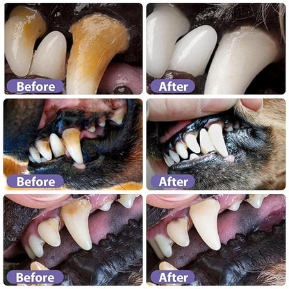 FOMONEST®  Dental Pet: Pet Dental Repair & Cleaning Gel 🐶🐱 LAST DAY • FINAL CLEARANCE SALE