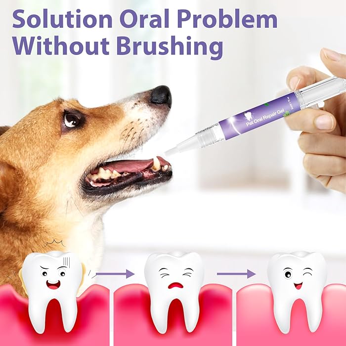 FOMONEST®  Dental Pet: Pet Dental Repair & Cleaning Gel 🐶🐱 LAST DAY • FINAL CLEARANCE SALE