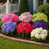 Monet's Garden (7 PCS，including one of each color)