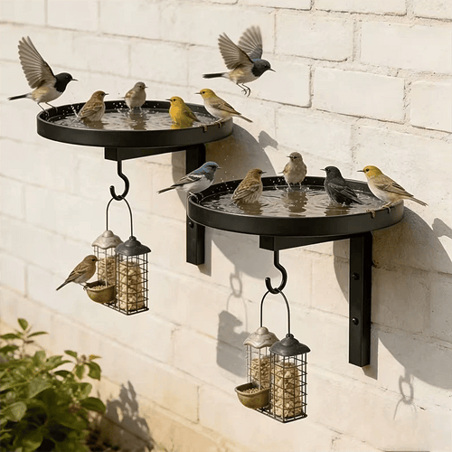 Wall-Mounted Metal Bird Bath – Antique Bronze Finish 🐦🛁🧱🏡
