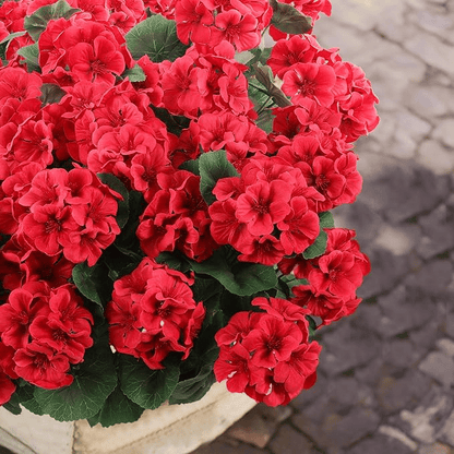 🌸 Lush, UV-Resistant Artificial Geraniums – Real Look, No Maintenance! 🌞🏡
