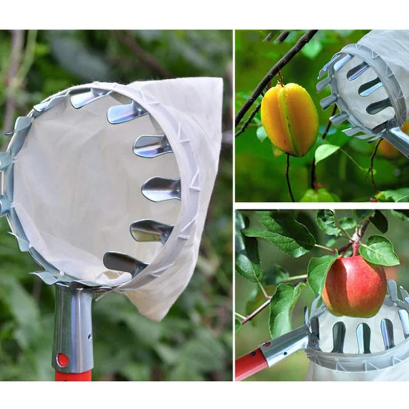 🍎 Fruit Picker with Collection Basket