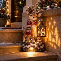 🦌 Reindeer