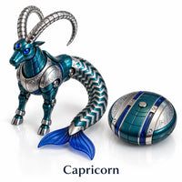 ♑ Capricorn 🐐