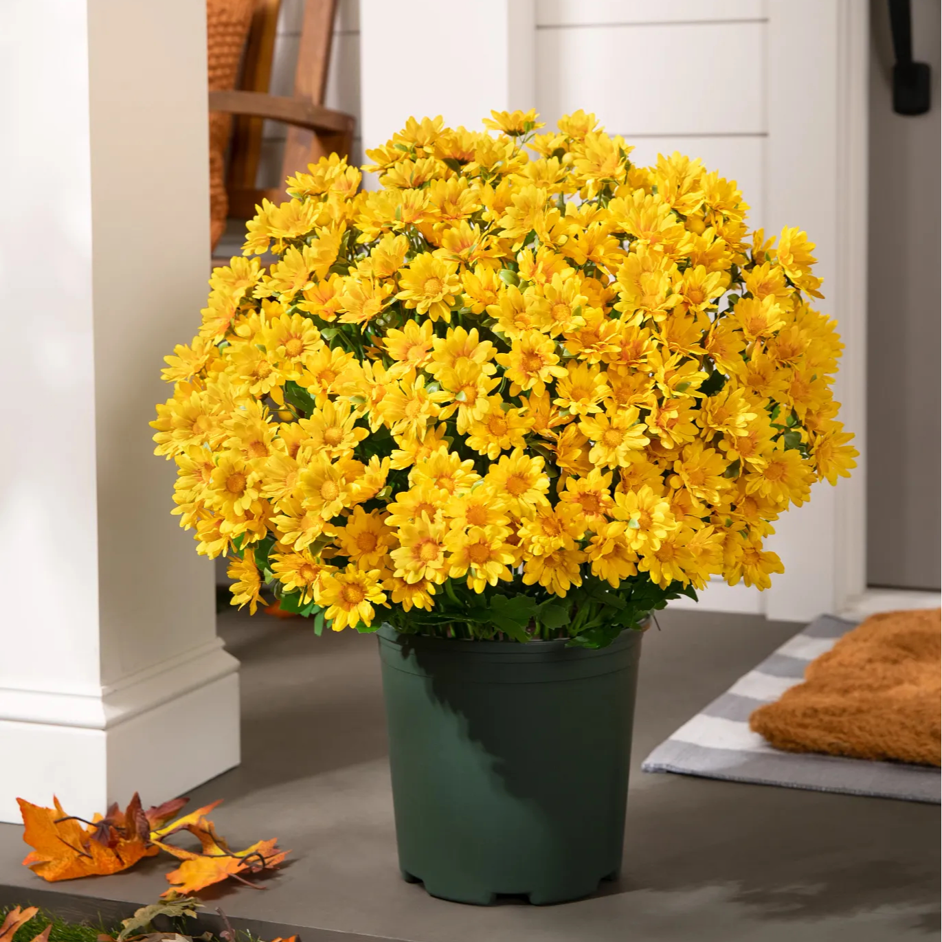 💥Last Day 70% OFF🌼- Artificial Outdoor Sunset Mums Flowers - UV resistant, Waterproof, Windproof
