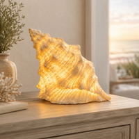 Conch Light