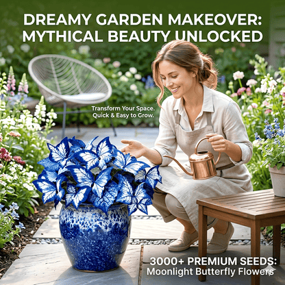 ✨Easy-to-Grow Seeds — Butterfly Blooms for a Living Garden