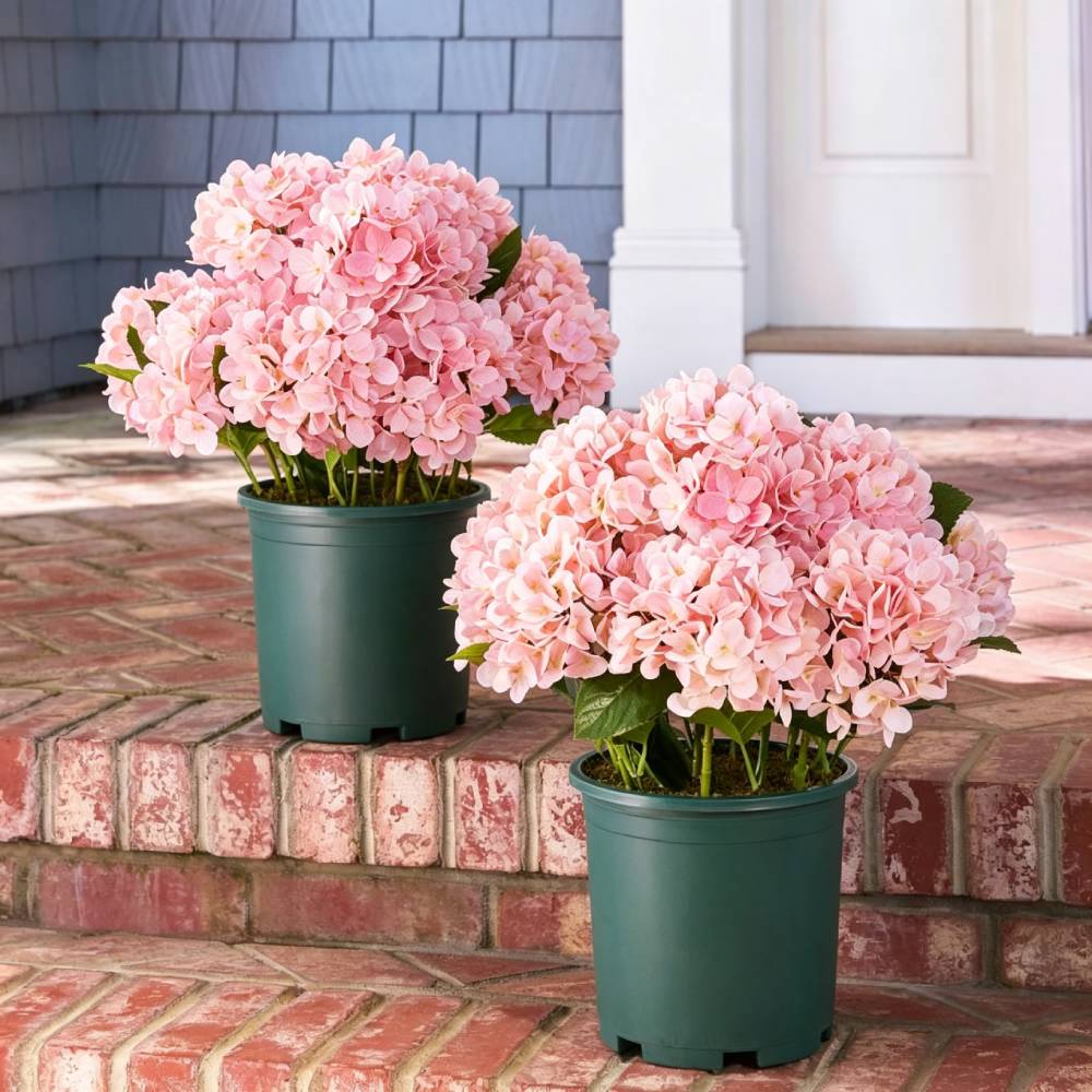 💥Last Day 75% OFF💐Artificial Outdoor Hydrangea Flowers - UV resistant, Waterproof, Windproof