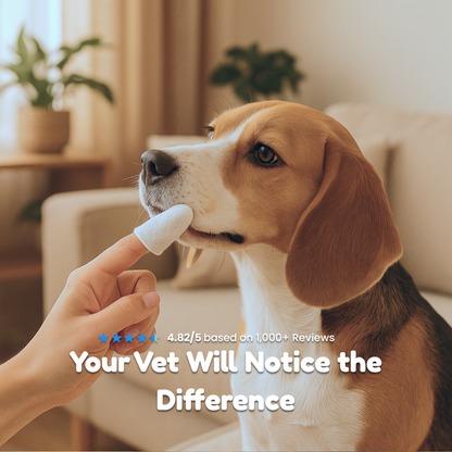🔥🔥Natural Pet Dental Finger Wipes🦷