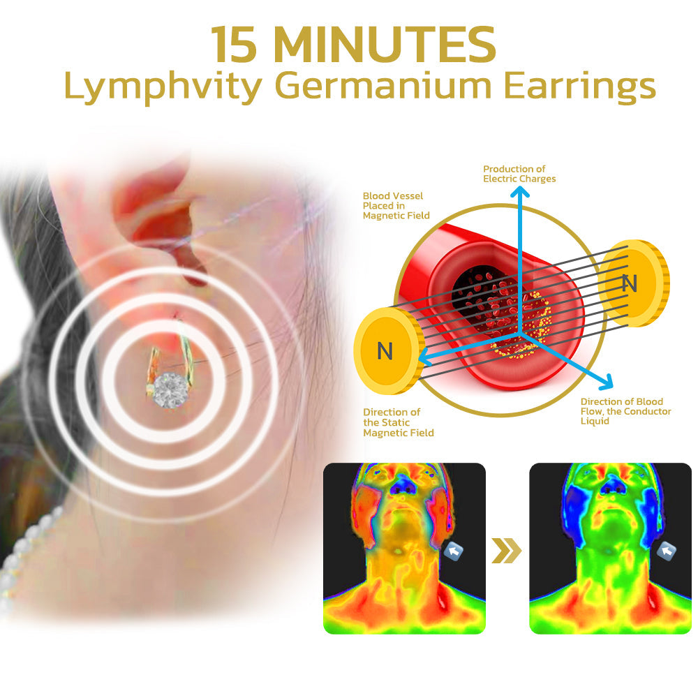 🔥LAST DAY SALE-80% OFF)Histone Lymphvity MagneTherapy CZ Earrings