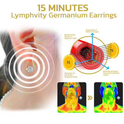 🔥LAST DAY SALE-80% OFF)Histone Lymphvity MagneTherapy CZ Earrings