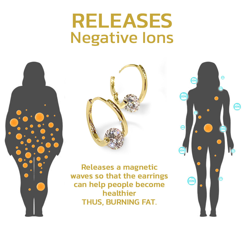 🔥LAST DAY SALE-80% OFF)Histone Lymphvity MagneTherapy CZ Earrings
