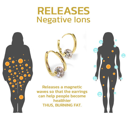 🔥LAST DAY SALE-80% OFF)Histone Lymphvity MagneTherapy CZ Earrings